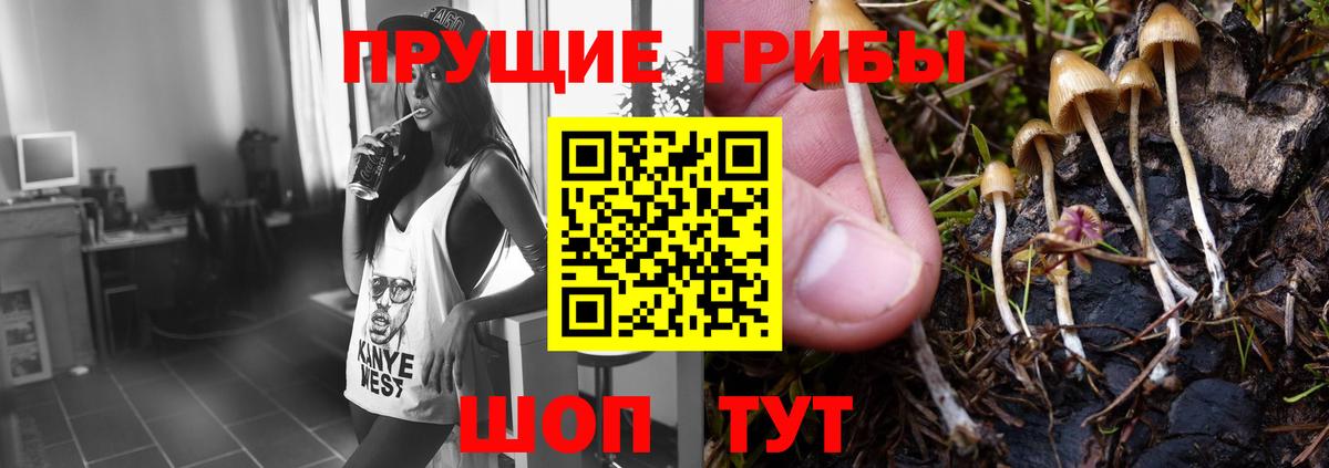 Рославль  Галлюциногенные грибы MAGIC MUSHROOMS  Вход с VPN 